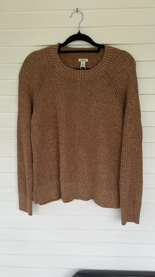 LL Bean Chunky Sweater (XL)