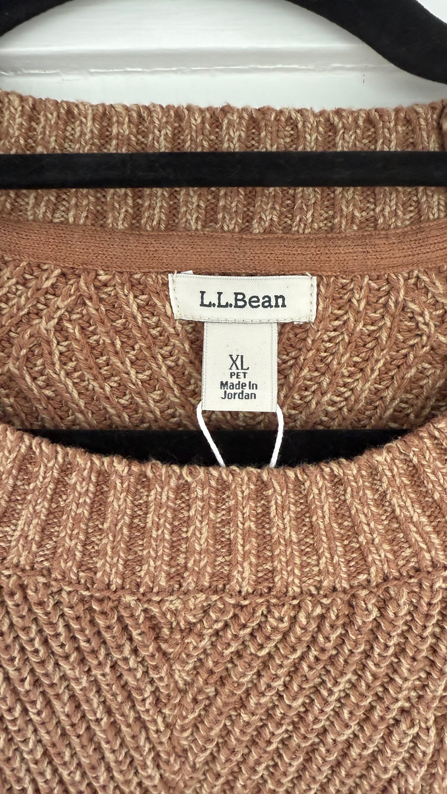 LL Bean Chunky Sweater (XL)