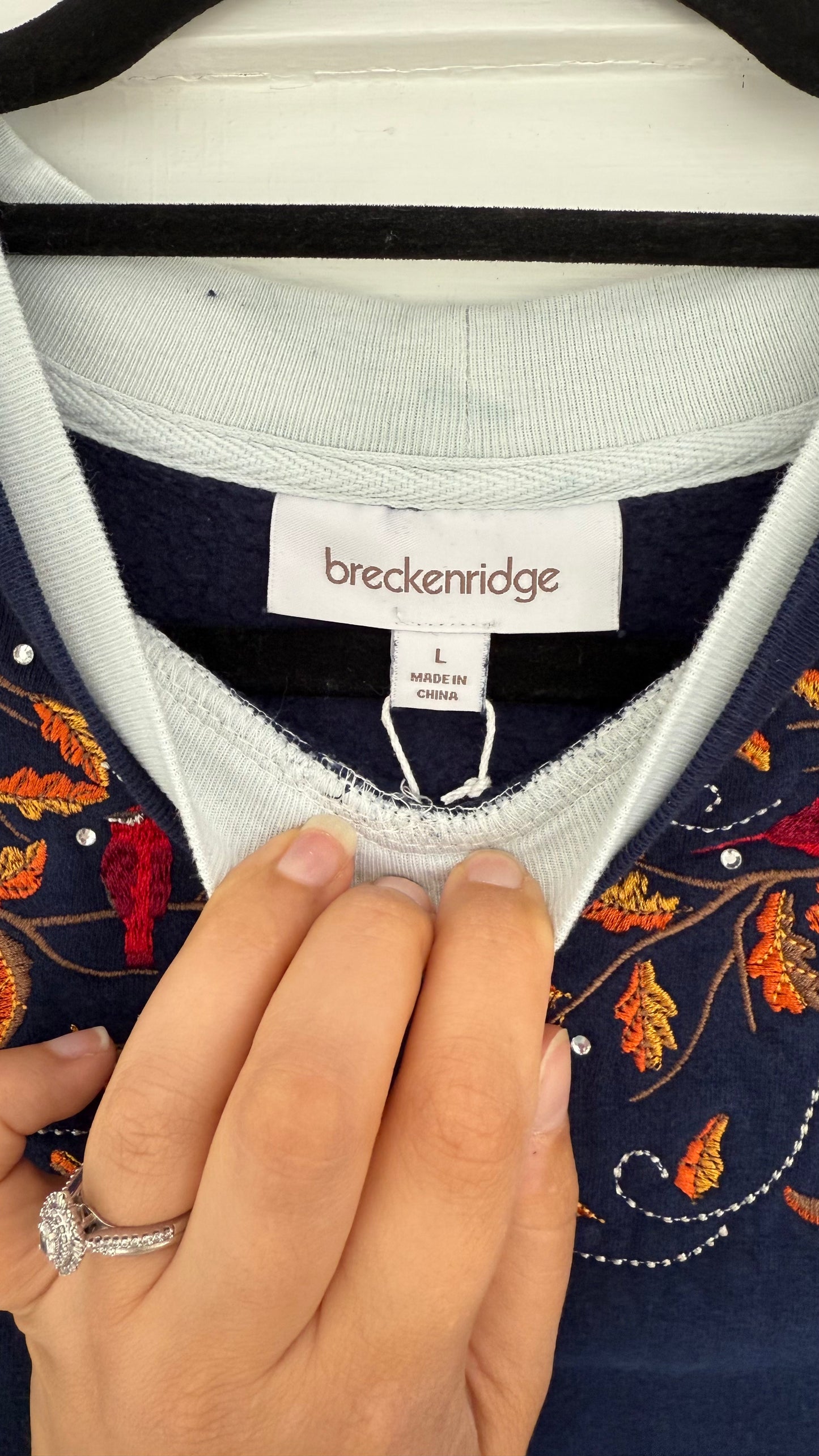 Vintage Bluejay and Cardinal Motif Double Collar Crewneck (L)